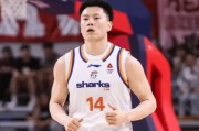 开云精品-CBA最佳阵容3人成大赢家！李弘权逐步提升，庞峥麟+徐昕获认可！|篮板|球员|赛季|杜锋|星锐_新浪体育_新浪新闻